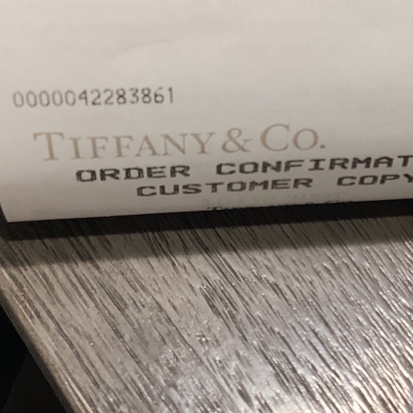 Tiffany & Co Elsa Peretti Large Eternal Circle Pendant with T & Co. 925 Chain - Picture 11 of 11